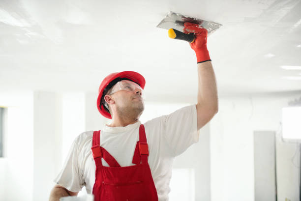 Best Drywall Sanding and Smoothing  in Gilroy, CA